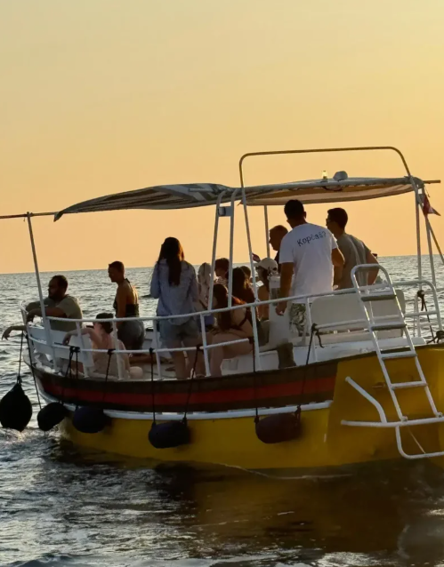 Dolphin watching tour