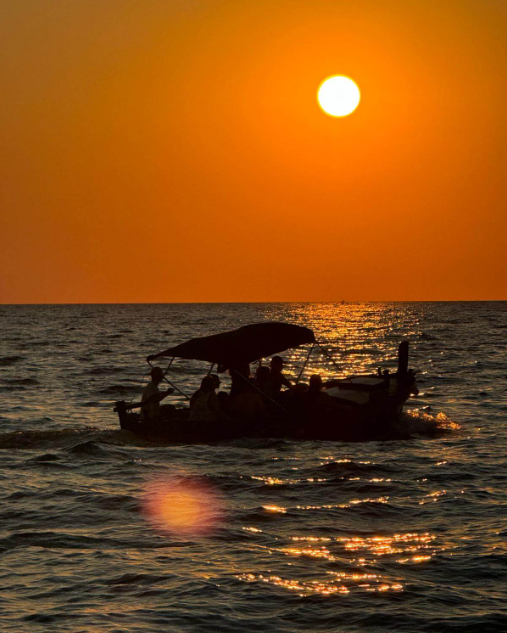 Sunset Dolphin Watching Tour from Rovinj