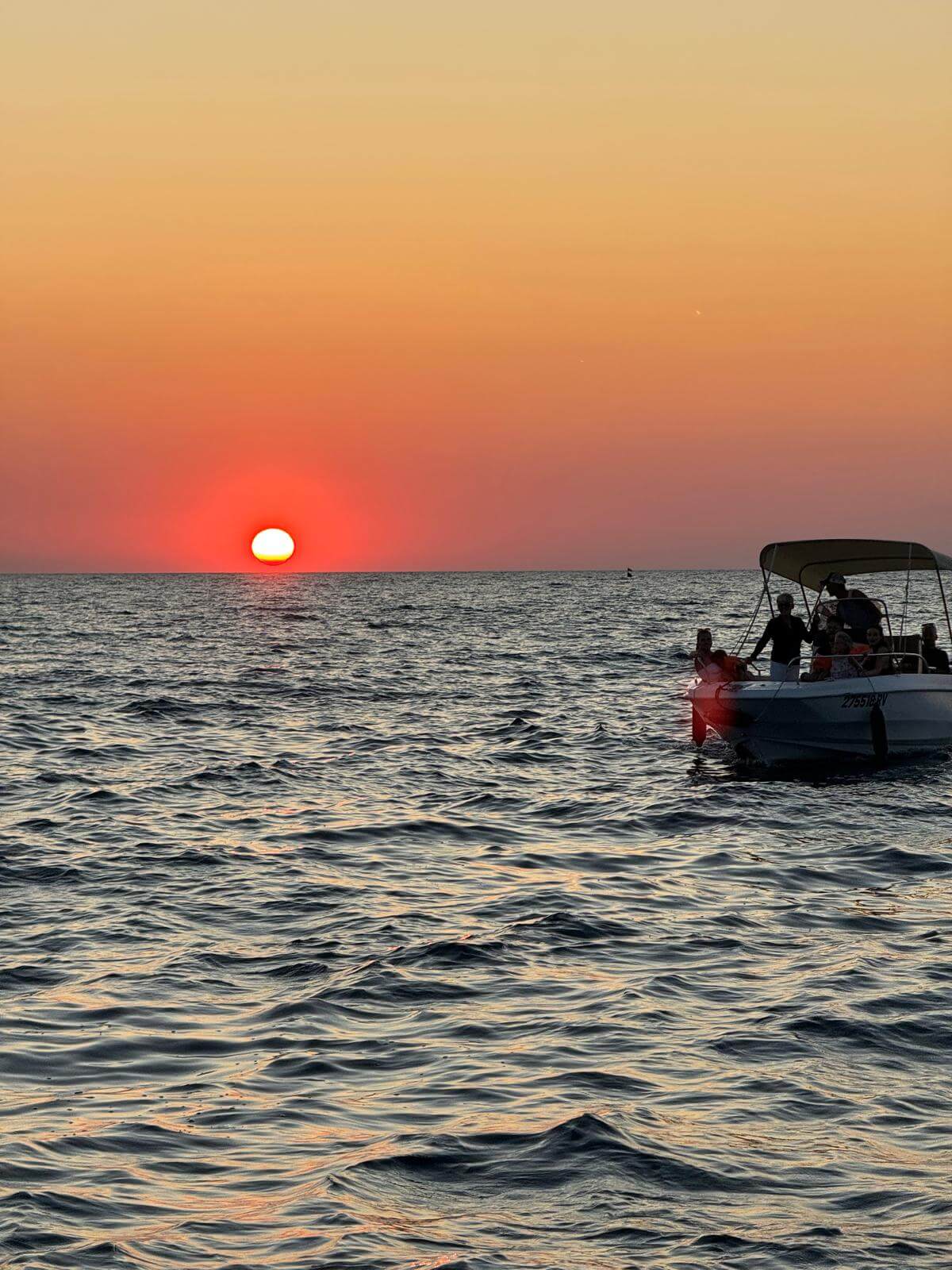 Sunset Dolphin Watching Tour from Rovinj