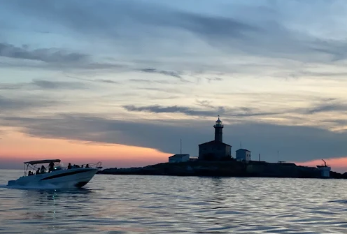 Private Sunset Dolphin Watching Tour from Rovinj