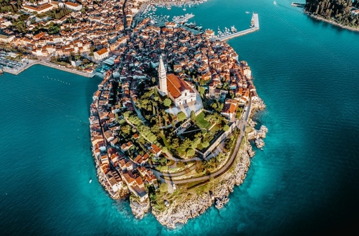 Rovinj Dolphin Excursion