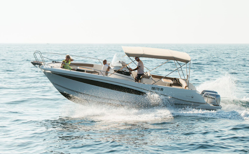Private Sunset Dolphin Watching Tour from Rovinj